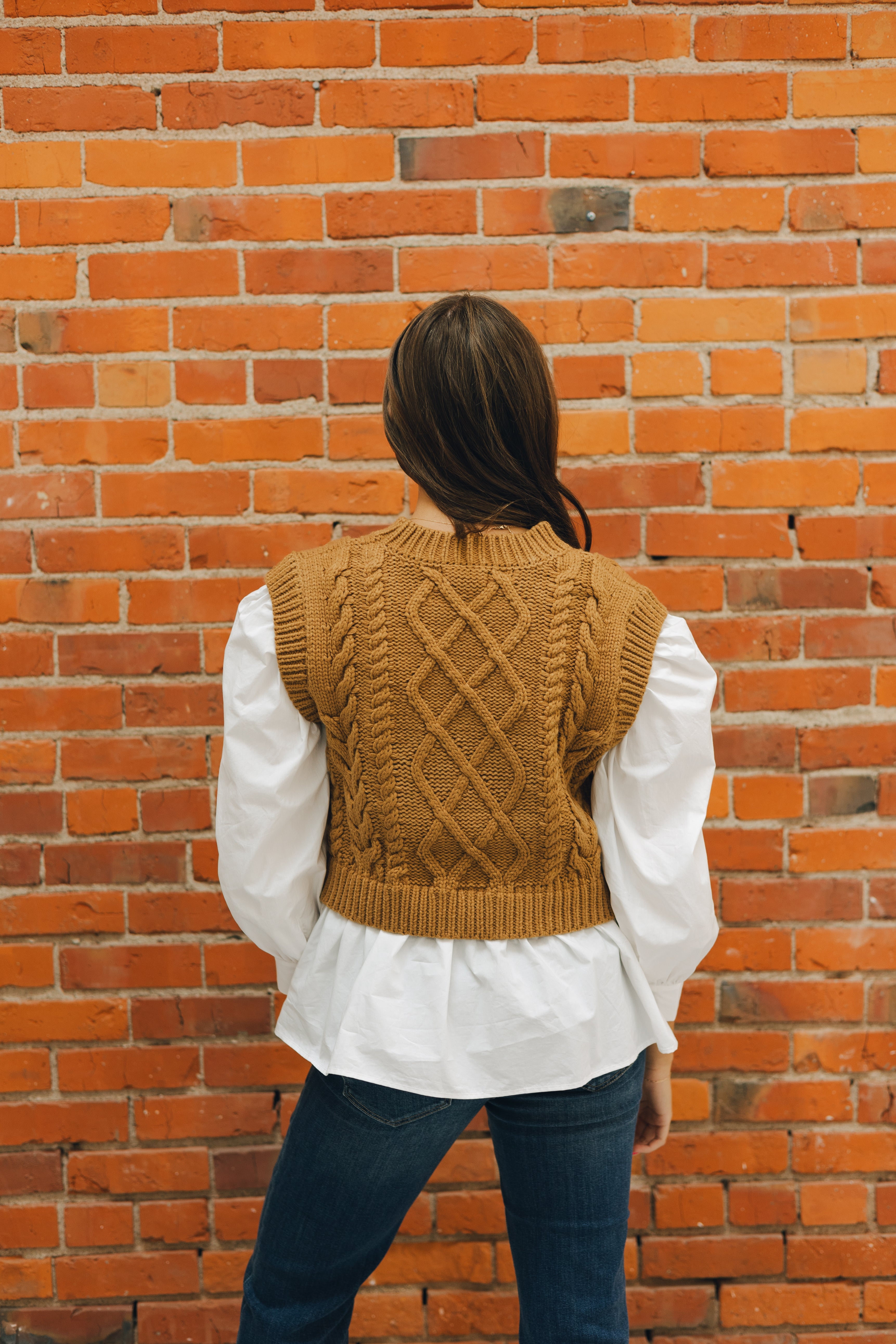 Dark Tan Sweater Vest & Shirt