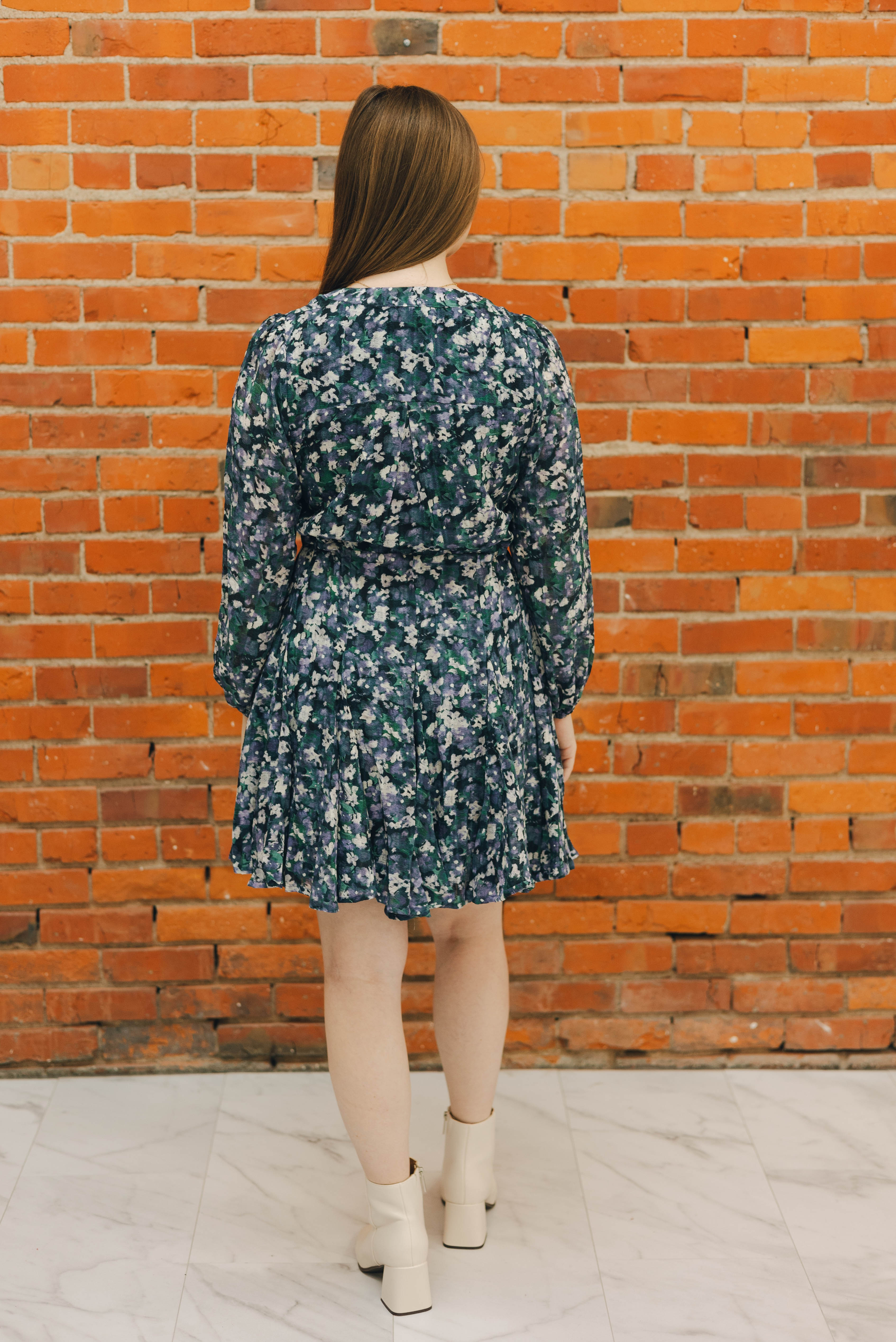 Long Sleeve Printed Dress