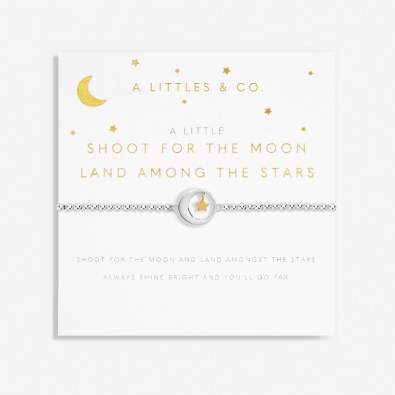 Shoot For the Moon Landing Among the Stars